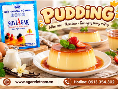 Công Thức Làm Pudding Sánh Mịn, Thơm Ngon Cho Cả Gia Đình
